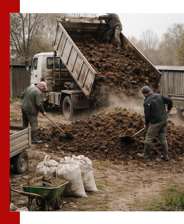 Доставка коровьего навоза самосвалом в Усинске
